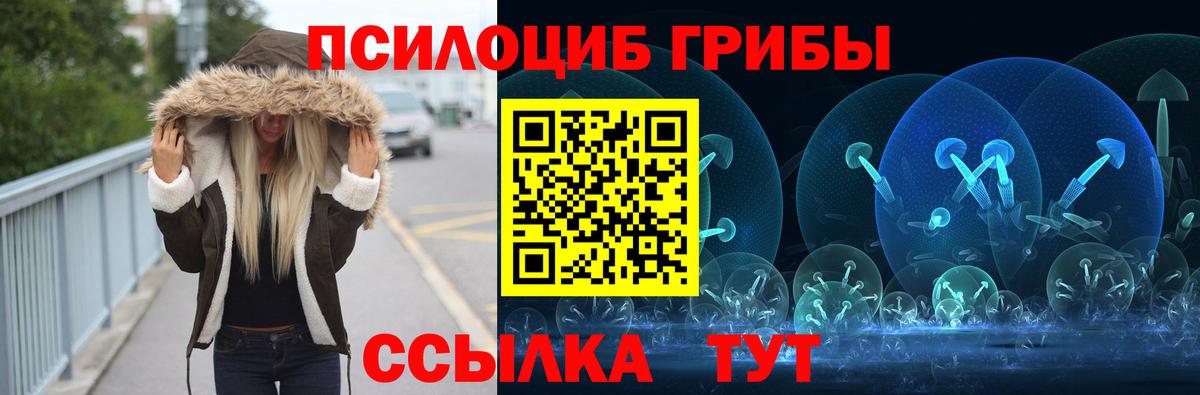 Псилоцибиновые грибы мухоморы  купить наркоту  Вход с VPN  Муром  Псилоцибиновые грибы MAGIC MUSHROOMS 